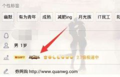 qq怎么点亮王者荣耀图标(王者荣耀图标点亮方法详解)