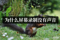 录屏时没有声音后期怎么补救（屏幕录制没有声音修复方法）