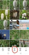 相册怎么拼图照片一加手机（用手机制作图片拼图方法）