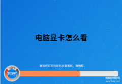 笔记本在哪看显卡型号（查看电脑显卡的操作方法）