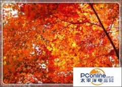 笔记本怎么拍照（win7笔记本摄像头开启方法）