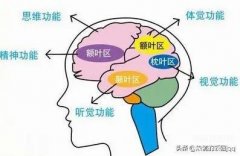 快速记忆方法（快速提升记忆的9大法则）