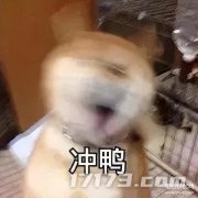神鬼世界游戏(国产暗黑类游戏推荐)