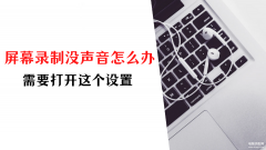 打电话录屏为什么没有声音（手机录屏没有声音处理方法）