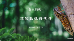 手机颜色怎么调整为正常色（4个设置屏幕色彩的方法）
