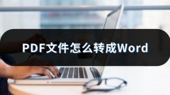 pdf怎么转换成word文档（PDF文件转成Word的几种方法）