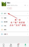 苹果手机微信收款语音没声音怎么回事（微信收款到账的声音设置方法）