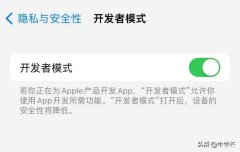 苹果开发者模式怎么开（iPhone开启开发者模方法）