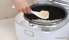 厨房电器品牌排行榜前十名（推荐10大电饭锅品牌）