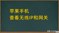 苹果手机ip地址怎么查（iPhone查看无线网络IP地址的技巧）