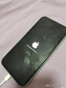 iphone x如何强制重启（苹果X黑屏强制关机的操作技巧）