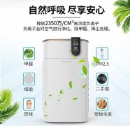 十大品牌净化器排名（空气净化器十大热门品牌销量榜单）