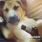 iPhone手机短信怎么快速大批量删除（苹果手机一键删除垃圾短信）