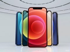 苹果12有几个颜色可以选（iPhone12五种颜色推荐）