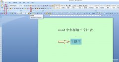 拼音怎么打声调（打上生字拼音的声调方法）