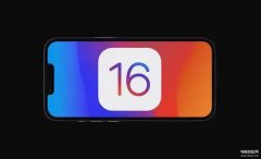 如何显示wifi密码苹果（苹果iOS 16显示WiFi密码教程）