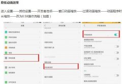 oppo手机开发者选项在哪里（OPPO手机开发者功能实用分享）