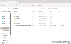 使用你的 Apple ID 登录（教你使用苹果登录功能的技巧）
