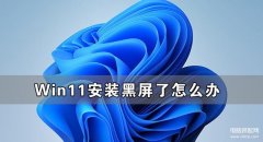 升级win11后黑屏不出现桌面怎么办（Win11安装黑屏了解决方法）