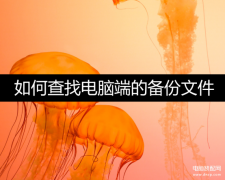 电脑备份文件在什么位置找（查找电脑端的备份文件方法）