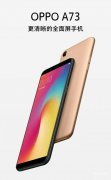 oppoa73什么时候上市的（OPPO A73评测及发售时间）