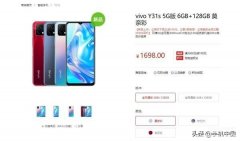 vivoy31s手机的配置参数（vivo Y31s骁龙480+5000mAh）