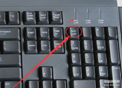 键盘右侧小键盘数字键无法输入怎么办（键盘右侧的小键盘失灵了解决方法）