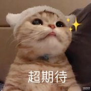 苹果plus是什么意思（手机型号的字母后缀plus含义介绍）