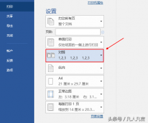 逐份打印是什么意思（逐份打印word文档步骤详解）