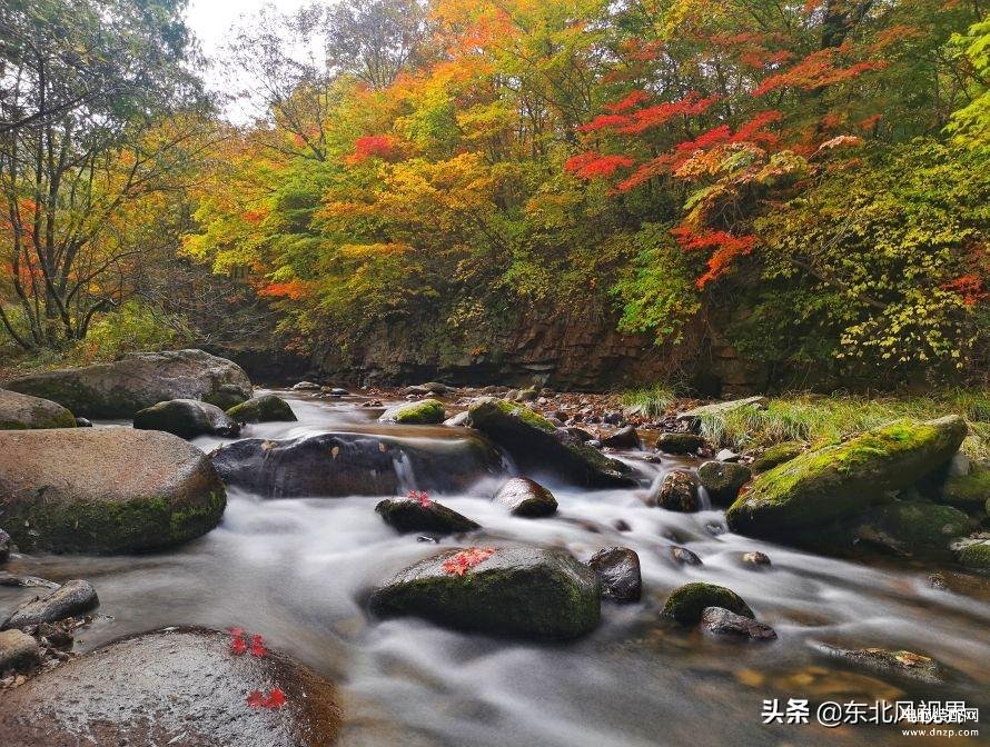 流光快门怎么用教程（用好手机流光快门的这五个方法）