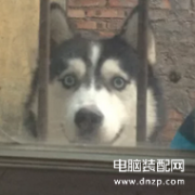 苹果手机怎么把图片弄成pdf（ios图片格式转换器的操作）