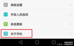 荣耀开发者选项在哪里打开（开启荣耀10开发者选项步骤详述）