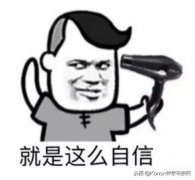 苹果13新功能怎么从照片提取文字(iPhone手机图片提取文字的方法)