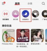 网易云怎么定时关闭（网易云助眠解压小程序设置技巧）