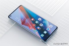 oppo find3和oppo find3pro区别（OPPO Find X3和X3 Pro差距）