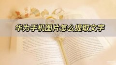 华为手机长截图怎么提取文字（分享两个华为手机图片提取文字的方法）