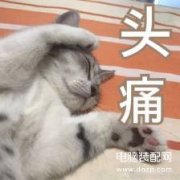 显卡怎么看性能参数（从型号分辨显卡性能方法）