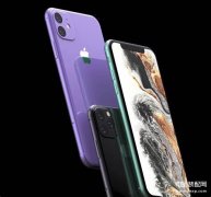 苹果11屏幕多大尺寸（iPhone11尺寸规格及参数）