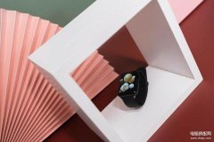 oppo手表watch1功能（OPPO Watch体验详情）
