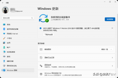 windows怎么关闭自动更新(禁用Win更新教程)
