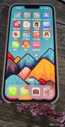 苹果13promax屏幕尺寸是多少（iPhone13的年终使用报告）