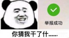 手机怎么关闭彩铃功能（关闭手机拨号时的视频彩铃步骤）