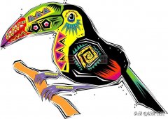 eps文件可以用什么软件打开（eps文件介绍）