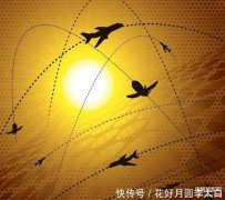 手机飞行模式在哪里找（手机飞行模式的5个隐藏功能）