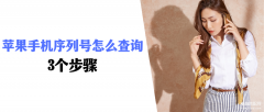 苹果序列号查询官网入口在哪里（iPhone手机序列号查询三个步骤）