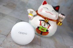 oppo蓝牙耳机使用说明图解（OPPO无线耳机的功能介绍）