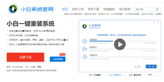 重装系统哪个软件最好（小白一键重装系统推荐）