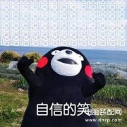 怎么改文件名能把excel转化为word（将Excel转换成Word步骤详述）