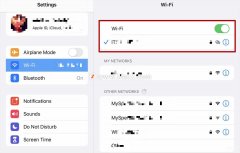 如何在 iPhone 或 iPad 上设置个人热点（蜂窝数据的启用分享）