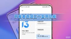 小米mix2s开发者选项在哪里（小米手机开发者选项实用功能分享）